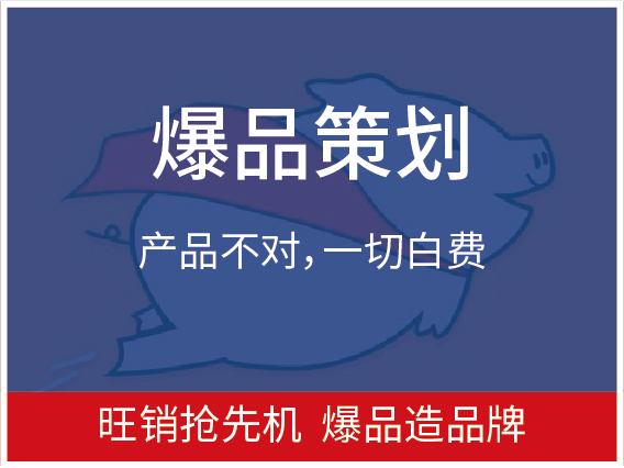 超级爆品打造-旺销抢先机,爆品造品牌